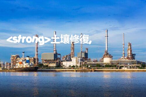 <strong>土壤修復,危廢資源化龍頭危險廢棄物處理的專業(yè)之道：安全高效的施工技術</strong>